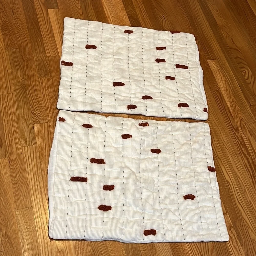 Anthropologie Mesa Tufted Shams, Set of 2 NEW